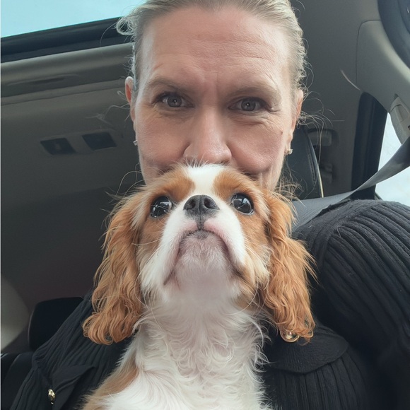 Like this listing to be notified when we are LIVE!! - Picture 2 of 4